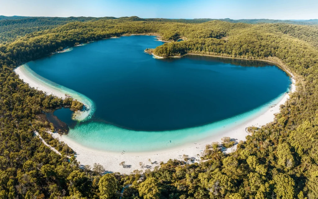 découvrez fraser island, la plus grande île de sable au monde située en australie. explorez ses plages infinies, ses forêts luxuriantes et ses lacs cristallins, parfaits pour l’aventure, la détente et les amoureux de la nature.